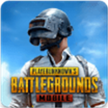 地铁逃生国际服 下载pubg官方版下载 3.0