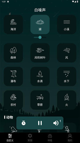 章鱼睡眠