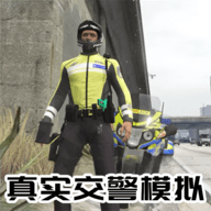 警察故事真实模拟