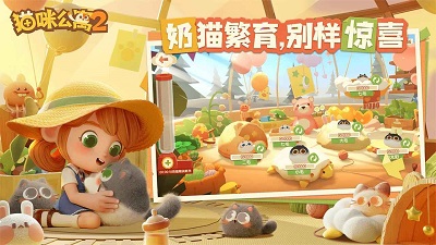 猫咪公寓2 最新版图4