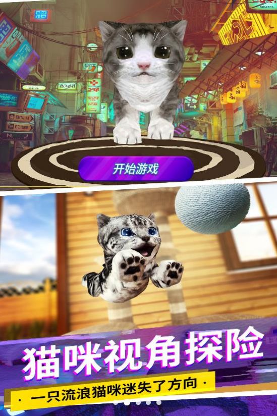 可爱城市猫咪图0