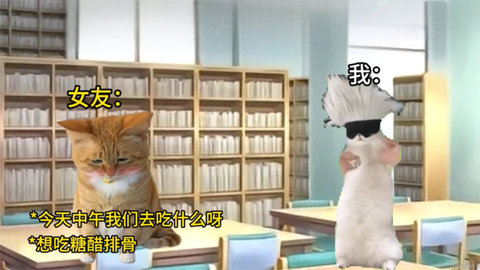 猫meme搞怪冒险图4