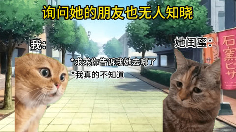 猫meme搞怪冒险图2