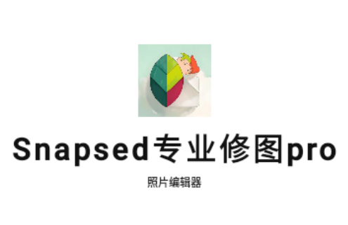 Snapsed专业修图