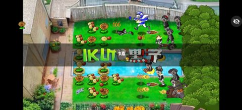 pvz小黑子版图1