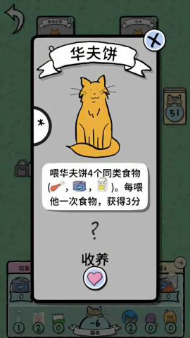 猫女士图0