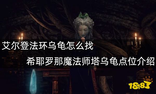 艾尔登法环乌龟怎么找 希耶罗那魔法师塔乌龟点位介绍