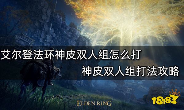 艾尔登法环神皮双人组怎么打 神皮双人组打法攻略