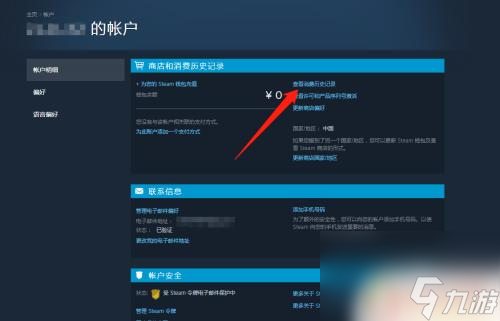 Steam购买明细：如何查看和管理Steam游戏的购买记录