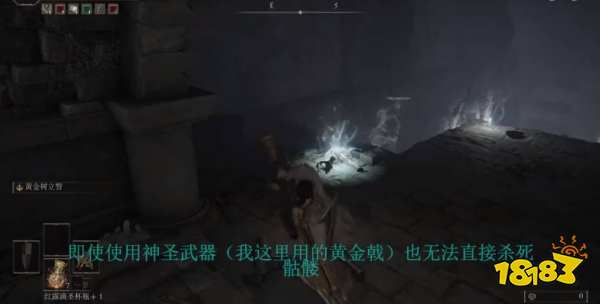 艾尔登法环骷髅怎么杀 骷髅击杀方法介绍