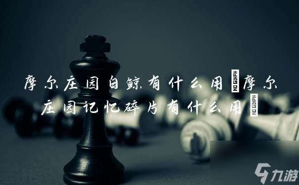 摩尔庄园白鲸有什么用(摩尔庄园记忆碎片有什么用)