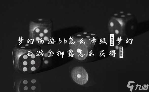 梦幻西游bb怎么降级(梦幻西游金柳露怎么获得)