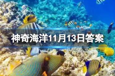 神奇海洋11月13日最新答案 猜一猜哪一种海洋生物属于节肢动物 