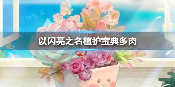 《以闪亮之名》植护宝典多肉 五星限定饰品等你来拿 