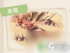 原神沙漠的鸟叫什么 原神3.1沙漠生物介绍及特点