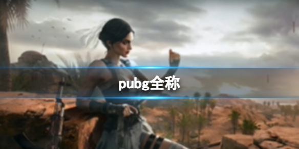 pubg全称-pubg全称介绍