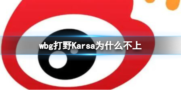 wbg打野Karsa为什么不上-wbg打野Karsa不上场原因介绍 