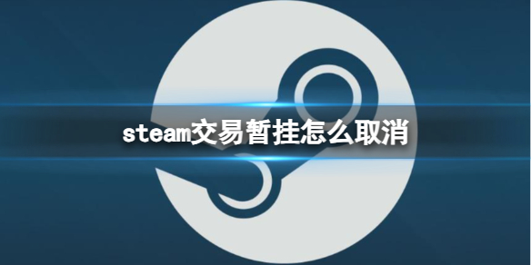 steam交易暂挂怎么取消-steam交易暂挂取消方法