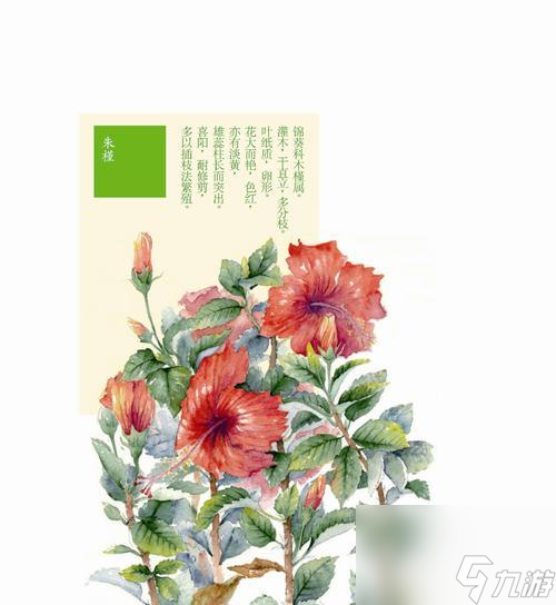 山海镜花朱槿——魔幻之花（探秘山海镜花朱槿的神秘技能与战斗魔力）