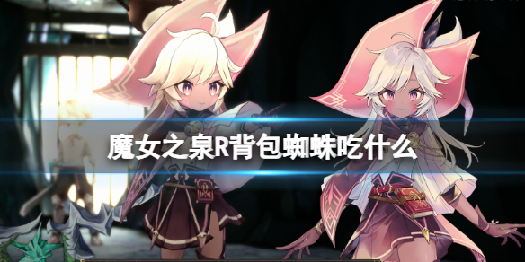 魔女之泉R背包蜘蛛吃什么-魔女之泉R背包蜘蛛获取方法 