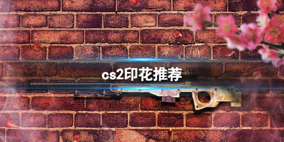 cs2印花推荐-cs2印花推荐介绍 