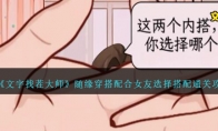 《文字找茬大师》随缘穿搭配合女友选择搭配通关攻略 