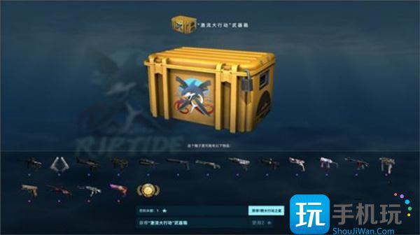 csgo大行动价格一览2