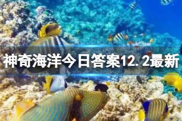 我国胶东沿海常见的“海肠”是一种什么生物 神奇海洋今日答案12.2最新 