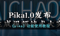 《pika》功能使用教程 