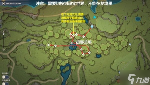 原神帕蒂沙兰新版采集位置大全 帕蒂沙兰最新采集路线一览