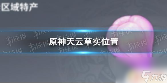 原神雷电将军天云草实在哪里 《原神手游》天云草实位置怎么找