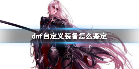 dnf自定义装备怎么鉴定-dnf自定义装备鉴定方法 