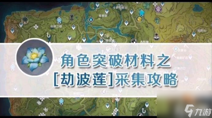 原神劫波莲怎么采集?（劫波莲采集路线图2024）