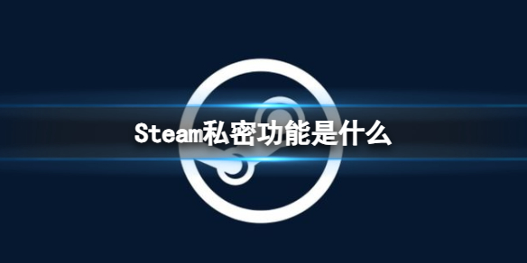 Steam私密功能是什么-Steam私密功能介绍 