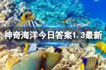 鲨鱼有没有鳞片呢 神奇海洋鲨鱼鳞片答案1.3最新 