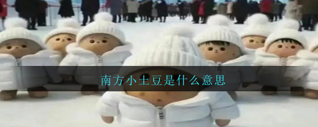 南方小土豆是什么意思