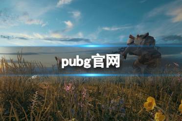 pubg官网