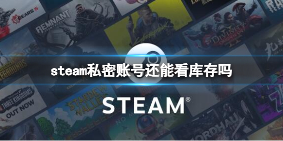 steam私密账号还能看库存吗-steam私密账号查看库存介绍 