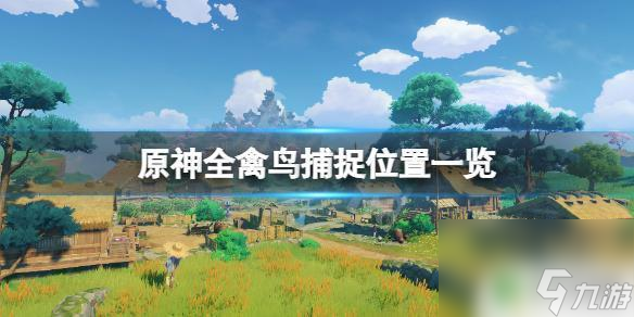 原神如何捕获野禽 怎样在《原神》中捕捉全禽鸟