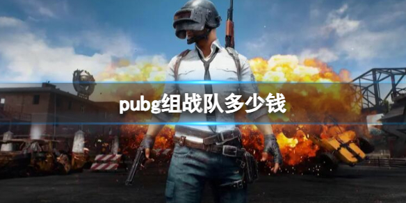 pubg组战队多少钱-pubg组战队所需价格介绍 