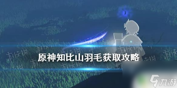 原神知比山下的羽毛怎么拿 《原神》知比山继电石解密攻略