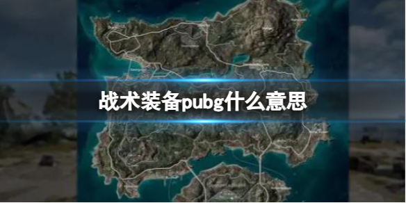 战术装备pubg什么意思-pubg战术装备介绍 