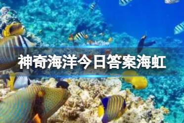 “海虹”是哪种海洋生物 神奇海洋1.16海虹答案 