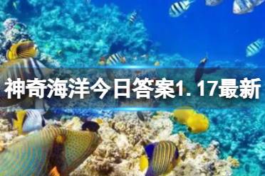 唯一具有外壳的头足类动物是哪个 神奇海洋今日答案1.17最新 