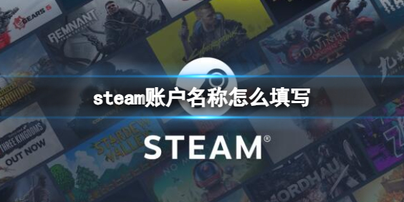 steam账户名称怎么填写-steam账户名称填写格式介绍 