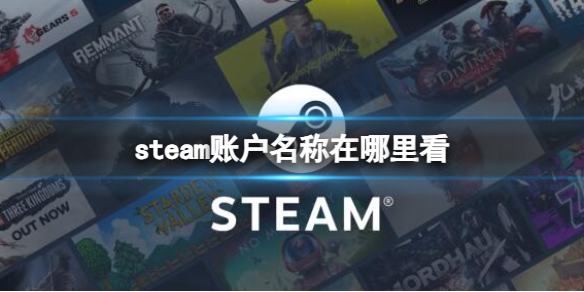 steam账户名称在哪里看-steam账户名称查看位置介绍 