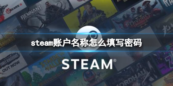 steam账户名称怎么填写密码-steam账户名称填写密码流程介绍 