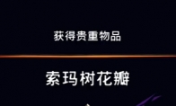 《波斯王子：失落的王冠》沉港2号索玛树花瓣视频攻略 