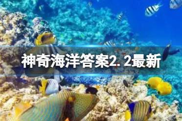 有“海中哥斯拉”之称的是谁 神奇海洋海中哥斯拉答案2.2最新 