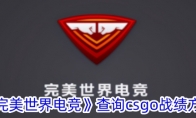 《完美世界电竞》查询csgo战绩方法 